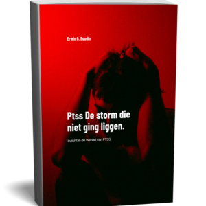 3D-weergave van de boekcover 'Ptss De storm die niet ging liggen' van Erwin G. Boudin. De omslag toont een silhouet van een persoon in diepe rode verlichting met de handen in het haar, uitgegeven door Zelfzorg-academie.
